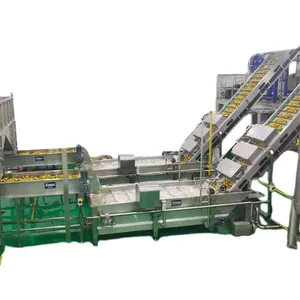 25T/H Automatic Pineapple Production Line thumbnail-6
