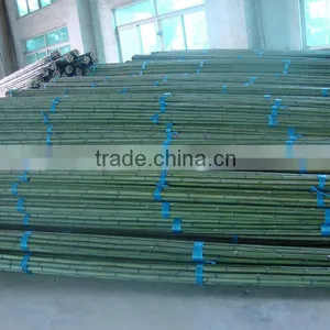 Green Bamboo Pole thumbnail-1