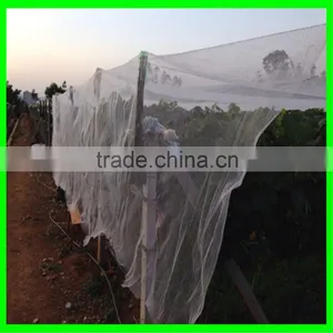 Grape Hail Protection Net/resist Hail Mesh/woven Anti Hail Net thumbnail-5