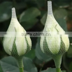 Plastic Flower Bud Net for Flowers thumbnail-3