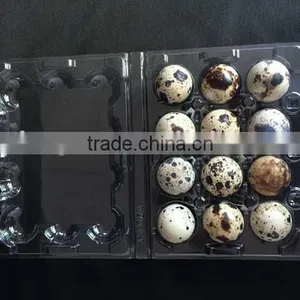 High Quality Disposable Plastic Eggs Tray Blister Packaging Quail Egg Tray 30 Holes Cells 30 Acounts Quality Choice thumbnail-5