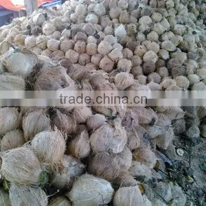 Dried Coconut thumbnail-1