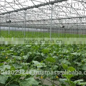 Greenhouse Climate Control System H2h Environment 1000 With Sensors thumbnail-6