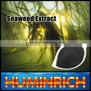 Humirich Shenyang SY1001 Seaweed Extract Alga Flake Organic Fertilizer thumbnail-1