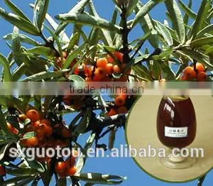 Organic Green Seabuckthorn Fruit Oil thumbnail-1