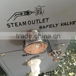 CONSTAR High Quality 9KW Electric Steam Generator GS08 thumbnail-3