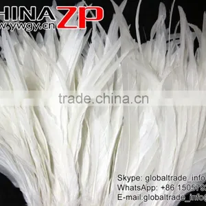 NO.1 Supplier ZPDECOR Best Selling Bleached White Fully Dyed Roosters Chicken Feathers thumbnail-3