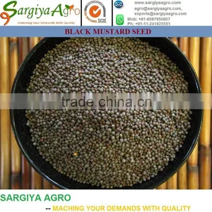 Mustard Seed l Natural l Yellow l Black thumbnail-1