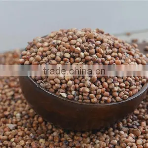 Red Sorghum With High Quality And Cooperate Price From China thumbnail-1