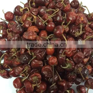 Bell Chilli From India thumbnail-4