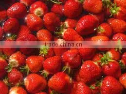 Strawberry thumbnail-4