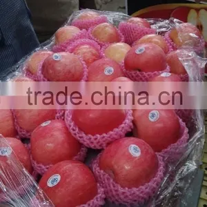 Chinese Fuji Apple thumbnail-1