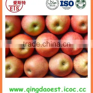 YanTai New Season Fresh Sweet Fuji Apple thumbnail-1