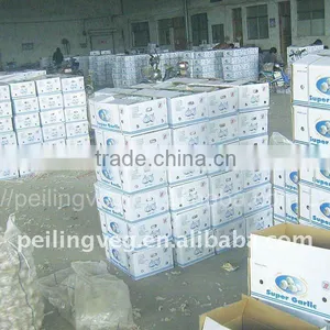 5.5cm Normal White Garlic (mesh Bag) thumbnail-1