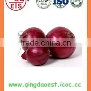 Export Bulk Chinese New Crop Fresh Red Onion thumbnail-2