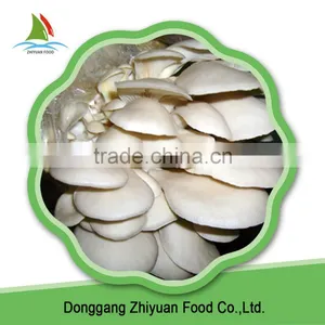 Cut Frozen Oyster Mushroom thumbnail-2