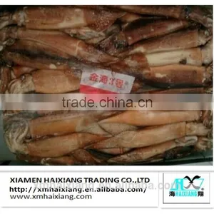Frozen Squid Supplier thumbnail-2