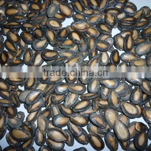 Black Watermelon Seeds New Crop thumbnail-1