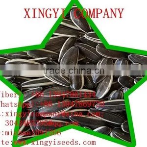 2015 Sunflower Seeds for Sale thumbnail-1