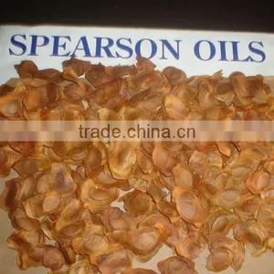 Seeds of Khaya Senegalensis thumbnail-1