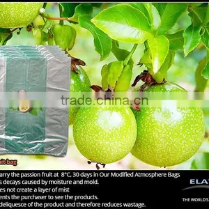 Dragon Fruit Bag thumbnail-3