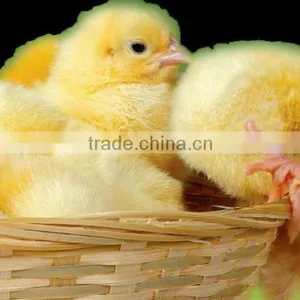 2016 China Latest Organic Fertilizer Manufacturing Plant thumbnail-6