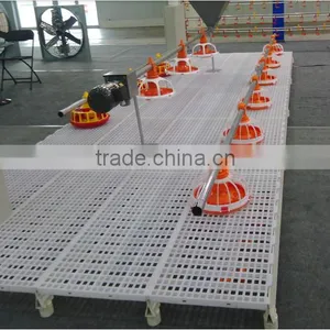 Hot Poultry Type for Chicken and Duck Use Floor Plastic thumbnail-6