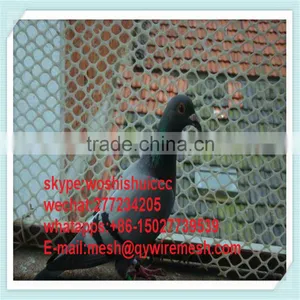 Invisible Agricultural Bird Netting / Plastic Bird Wire Mesh thumbnail-1