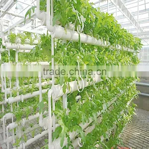 Agriculture /garden Commercial Greenhouse For Sale thumbnail-2