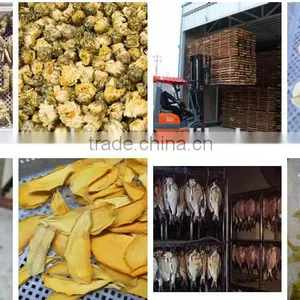 China Supplier Lemon Chips Drying Machine thumbnail-5