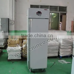 Small Double Door Commercial Upright Freezer/Ice Cream Deep Freezer/Cooler Freezer thumbnail-2