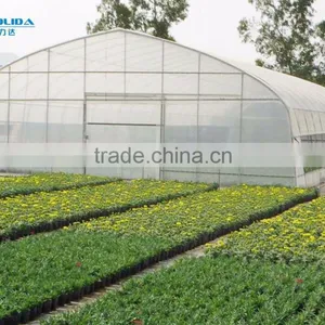 Baolida Hoop Green House for Strawberry thumbnail-2