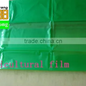 Blow Molding LDPE Plastic Perforated Green Color Tomato pe Tube Film thumbnail-3