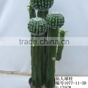 Top-quality Decoration Artificial Hoodia Cactus/opuntia Dillenii Haw thumbnail-6