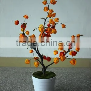 Home Decor Led Lighting Lantern Grass Potted Plant thumbnail-1