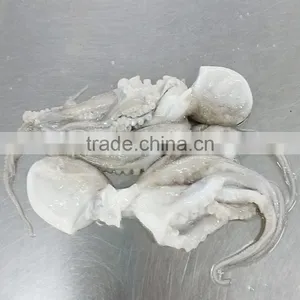 Frozen Baby Octopus in Ball Shape thumbnail-3