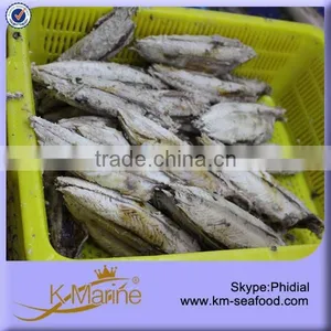 300g Raw Size Boneless Precooked Tuna thumbnail-2