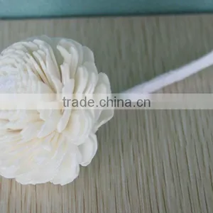 Natural Sola Flower thumbnail-1