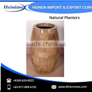 High Quality Fiberglass and Dried Banana Leaves Made Planters for Wholesale thumbnail-1