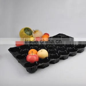 Canada Popular Wholesale Plastic Vacuum Forming PP Insert Tray For Fruit&Vegetable thumbnail-4