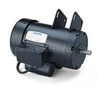 Leeson Motor thumbnail-1