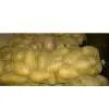 Fresh Holland Potato thumbnail-1