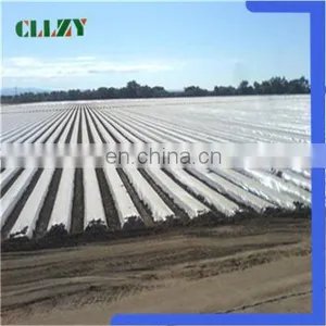 Quick Delivery Pla Biodegradable Material With Good Quality thumbnail-4