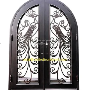 #002 Fashion Custom Wrought Iron Door thumbnail-1