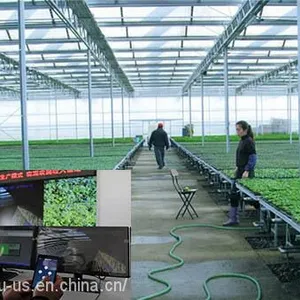 Multi Span PC GLASS Agricultural Greenhouse thumbnail-4