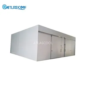Large Cold Room and Freezer Room thumbnail-1