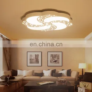 Factory Hot Sales Romantic Warm Living Room LED Ceiling Lamp Lights Bedroom Modern Simple Restaurant Lights thumbnail-1