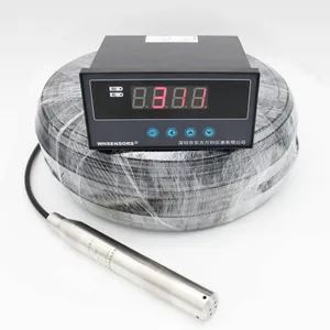 Water Well Level Transducer WH311 thumbnail-1