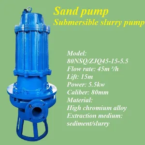 Sand Pumping Pump thumbnail-1