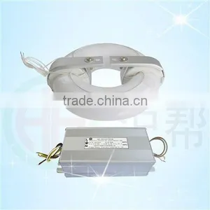 2012 Newest R-type Energy Saving Induction Lamps thumbnail-1